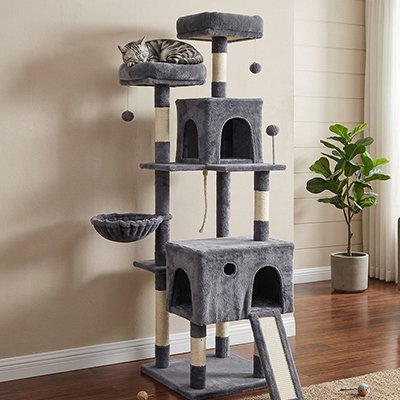 Arbre a Chats 