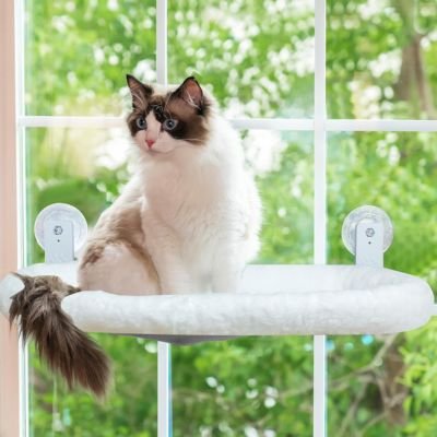 Hamac pour chat 
