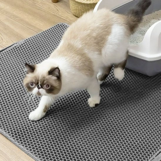 Tapis chat litière
