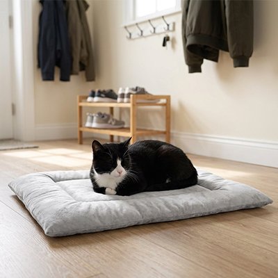 Tapis Chat 