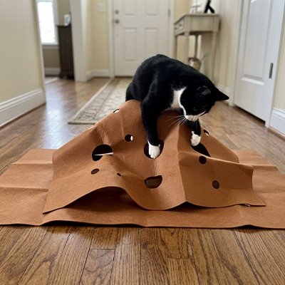 Tapis pour chat 